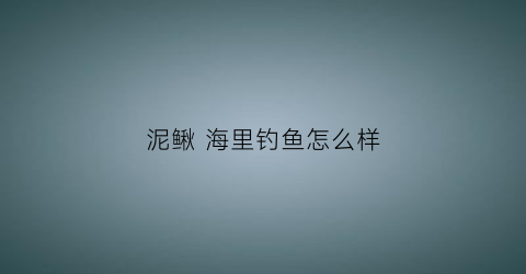 泥鳅海里钓鱼怎么样(泥鳅可以用来钓海鱼吗)